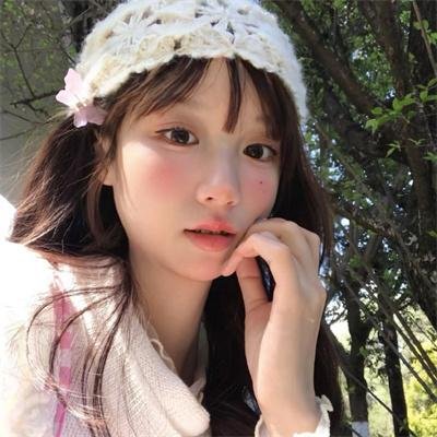 顽皮豹之子
